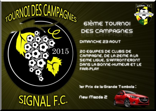 tournoi-des-campagnes-2015