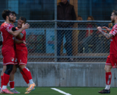 « Il nous manque encore un joueur par ligne »
