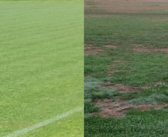 Quand les terrains impactent tout un club !