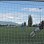 Tournoi des Campagnes : répartition des groupes