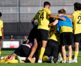 Le Meyrin FC fait chavirer les Arbères !