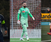 Saint-Valentin sur les terrains