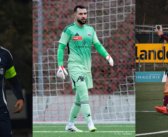 Saint-Valentin sur les terrains