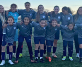 PLO, Interstar, Aïre et Champel en demi-finale