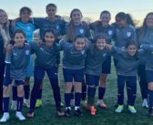 PLO, Interstar, Aïre et Champel en demi-finale