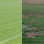 Quand les terrains impactent tout un club !